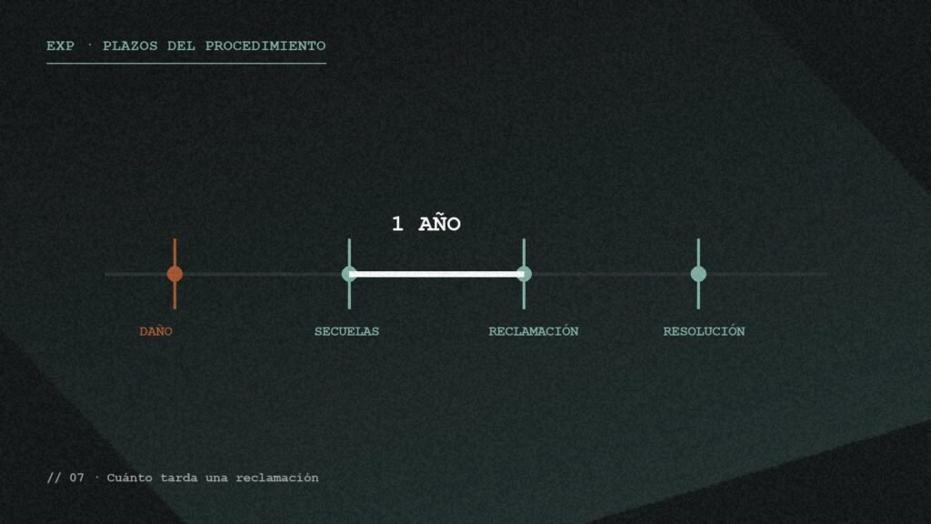 Línea temporal del procedimiento desde el daño hasta la resolución